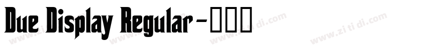 Due Display Regular字体转换